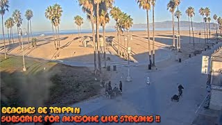 Venice Beach Santa Monica Live Webcam  Venice Beach Live Cam [upl. by Cochrane]