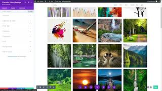 Divi Filterable Gallery Module [upl. by Statis571]