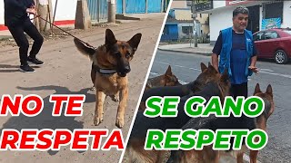 LOS PERROS RESPETAN Y OBEDECEN EL QUE APLICA ESTA TECNICA [upl. by Etnahsa992]