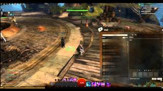 GW2 Griffon Mail Carrier 500 gems [upl. by Corissa]