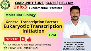 General Transcription Factors  Eukaryotic Transcription Initiation  Lecture20 [upl. by Everrs948]