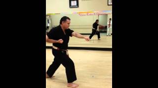 Traditional ChitoRyu kata Shi Ho Hai four square [upl. by Lorou232]