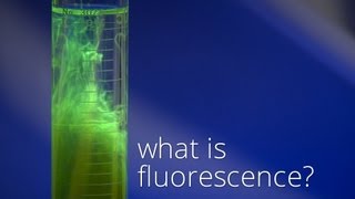 What is Fluorescence [upl. by Tolland]