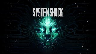 System Shock Part 1  Vaporizing everyones things for money [upl. by Aicilat757]