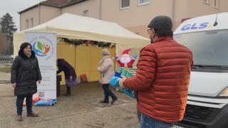 GONDOSKODÁS – A menhelyi kutyusoknak cicáknak is szebb lehet a karácsonyuk [upl. by Aihsotal]