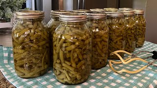 Pressure canning green beans canning preserving greenbeans [upl. by Held]