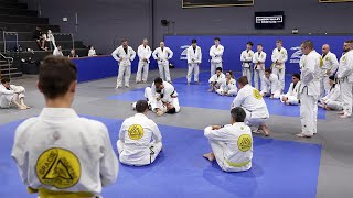 Gracie Jiu Jitsu Fundamentals Class [upl. by Ardnaz]