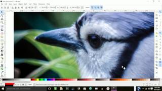 Inkscape How to Trace a Photo in Layers [upl. by Wisnicki]