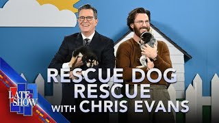 Rescue Dog Rescue with Chris Evans [upl. by Imhsar]