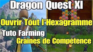 Dragon Quest XI  Tuto Farming  Graines de Compétence [upl. by Melliw]