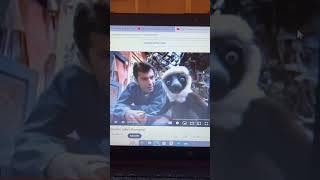 Zoboomafoo Says Ouch Ow [upl. by Jerrilee]