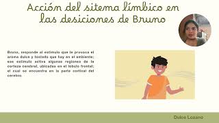 El sistema limbico en accion análisis del caso de Bruno EQUIPO D [upl. by Essilem]