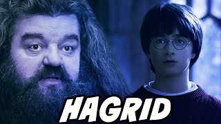 What Would Hagrid See in the Mirror of Erised  Harry Potter Theory [upl. by Shalne850]