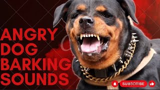 Epic Dog Barking Compilation See How Your Dogs REACTS and Cant Resist [upl. by Westland]