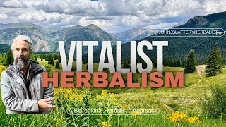 What is Vitalist Herbalism [upl. by Legin]