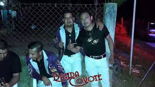 Mix Corridos  Banda Coyote De Sabanillas Gro [upl. by Nabal]