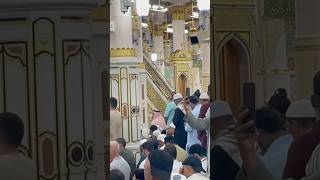 Riaz ul Jannah  Roza e Rasool  Masjid e Nabwi  trending shorts viralvideo [upl. by Htial]