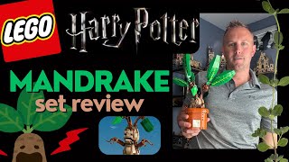 LEGO Harry Potter 2024 Mandrake Review 76433 [upl. by Caneghem]