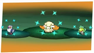 Live Shiny Cottonee after 3915 REs in Black  Shiny Pidove and Sewaddle DTQ 2 [upl. by Enilorak]