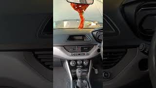 Tata Nexontrendingall cleaning 🧹TATA viral short [upl. by Waylan]