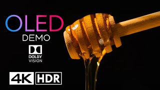 OLED DEMO  Unbelievable Quality in 4K 120FPS Dolby Vision™ [upl. by Weylin290]