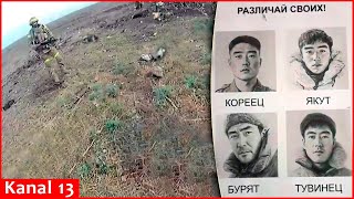 First video of killed North Korean soldiers at frontline Ukrainian army shows footage from Selidovo [upl. by Enellek]