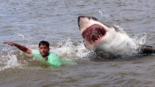 Shark Attack on Fishing Boat  fun made great white shark attack video part 6 [upl. by Atsev]