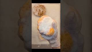 ASMR spongesqueezing powder bombs laundrypowder amp ajax clorex powder [upl. by Airres152]