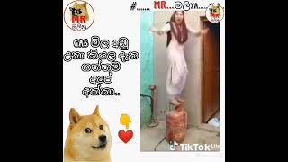 Gas adu unama ape Akka trending srilanka dance viralshort kpy viralvideo dancevideo couple [upl. by Gauntlett276]