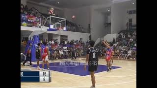 cj delfino vs Mavs phenomenal highlights 🏀 [upl. by Salvadore]