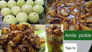 நெல்லி௧்காய் ஊறு௧ாய்amla pickle recipepicklerecipe Amla recipe [upl. by Minica]