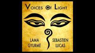 Sébastien Lucas amp Lama Gyurme  Mantra of Purification [upl. by Moise]