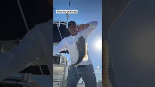 Fishing for what ever bits part 2 nj saltwater fishing [upl. by Bary]