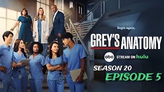 Greys Anatomy Season 20  Episode 5  Theories amp What to Expect [upl. by Woodson]