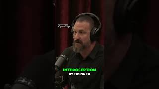 Unlocking Interoception How to Gauge Your Heartbeat Better joerogan Marijuana [upl. by Llechtim]