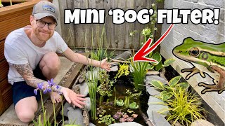 DIY Mini Wildlife Pond stepbystep [upl. by Enelie]