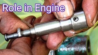 What is the Role of Fuel Pump in Diesel Engine  PLUNGER REPLACEMENT [upl. by Okiron]