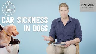 Dr Chris Brown QampA How to Stop Car Sickness in Dogs [upl. by Gilliam187]