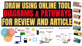 How to draw graphical abstract pathway and diagram using online tool [upl. by Navinod856]