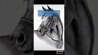 cavalo de cada signo [upl. by Nairrad]