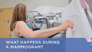 What Happens During a Mammogram [upl. by Samot]