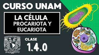 🌱 Célula EUCARIOTA y PROCARIOTA  Diferencias  Examen UNAM  Organelos celulares  Biología [upl. by Ilil]