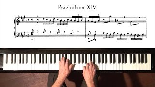 Bach Prelude and Fugue No14 Well Tempered Clavier Book 1 with Harmonic Pedal [upl. by Nosila]