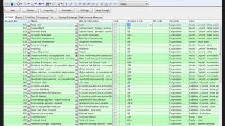 Working Papers Using the Automap Feature to Map and Assign Tax Codes [upl. by Yerhcaz]