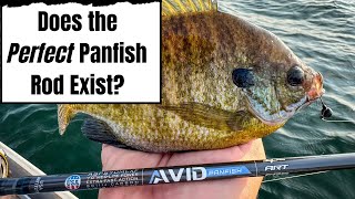 If You Could Only Pick One How To Choose A Good AllAround Panfish Rod [upl. by Torrence635]