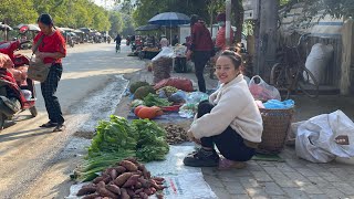 FULL VIDEO 90 Days of harvesting agricultural products from the farm to go to the market to sell [upl. by Ellinehc461]