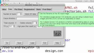 ICA Analysis Step II Melodic Demo Part I [upl. by Mannie600]