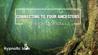 Hypnosis For Connecting To Your Ancestors Lost Loved Ones and the Afterlife Forest Of Souls [upl. by Whang]