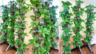 Amazing vertical garden ideas for balconies and terraces perfect ideas for small spaces [upl. by Ulah]