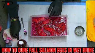 How To Cure Fall Salmon Eggs In Wet Brine [upl. by Ona]